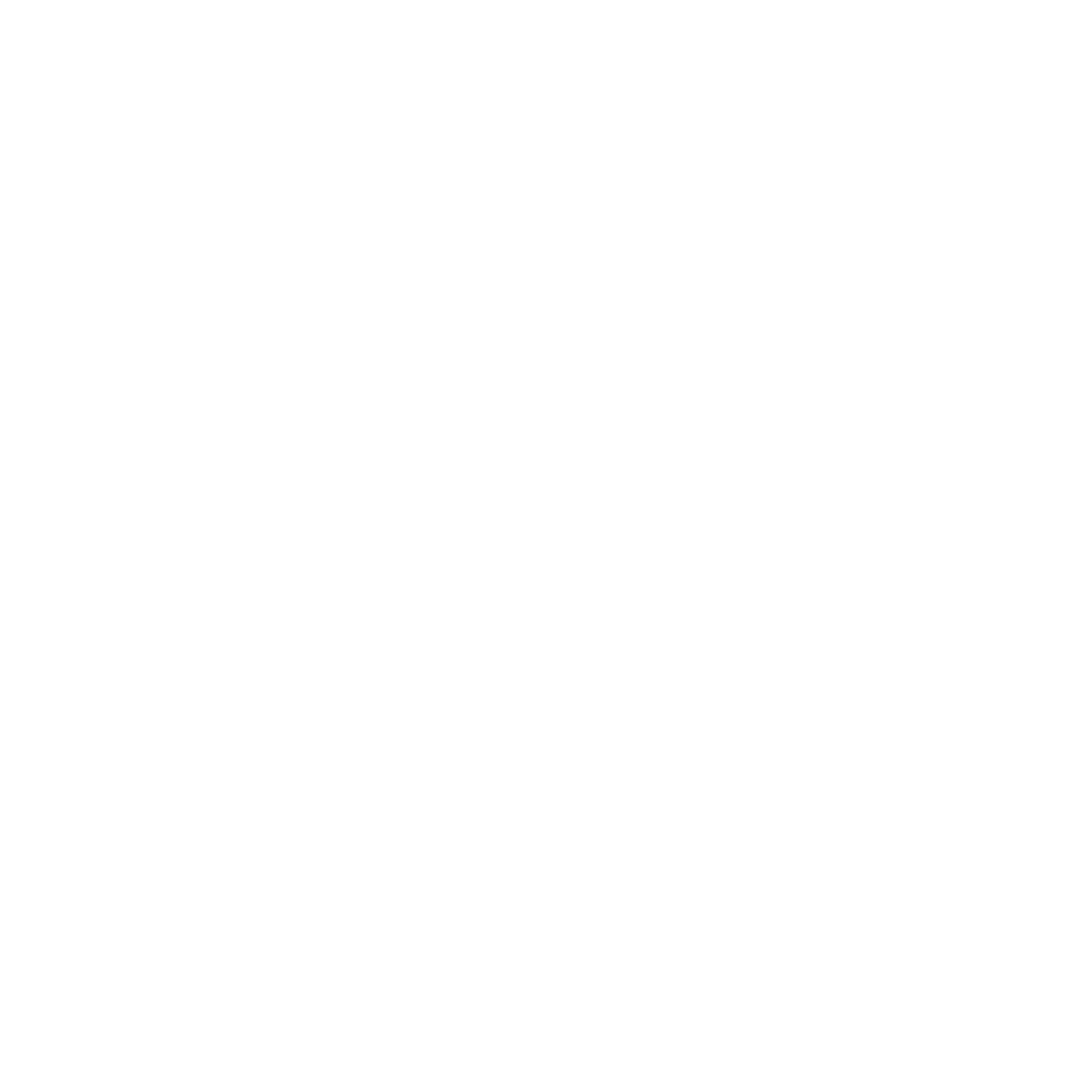 Logo du Festival Nouvelle(s) Scène(s) de Niort, blanc sans fond